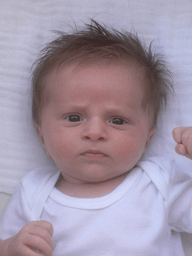 Valentin, das Produkt der Beiden auf der linken Seite